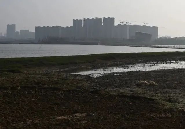 重磅!实景图 效果图=鄱阳县五湖连通工程详解